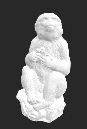 Monkey