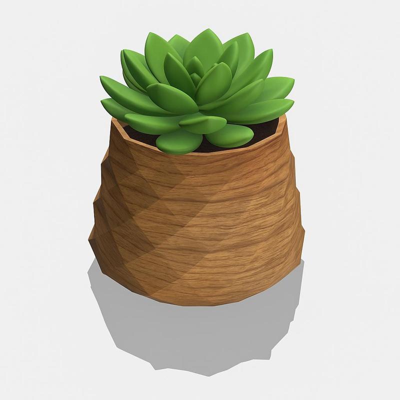 Plant Pot