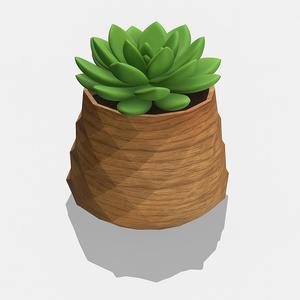 Plant Pot