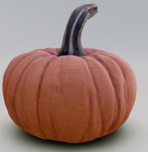 pumpkin