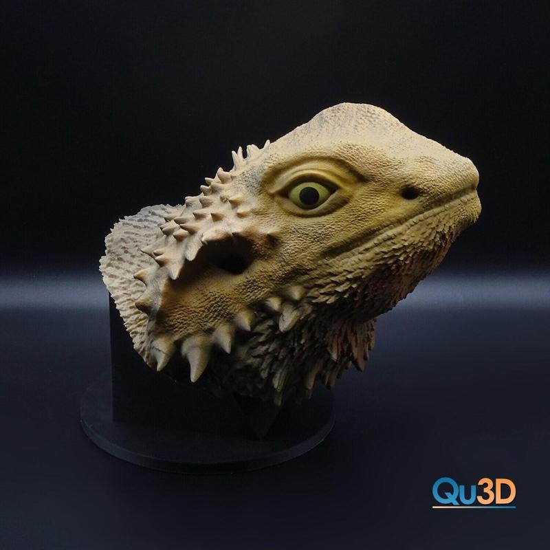 Bearded Dragon Portrait