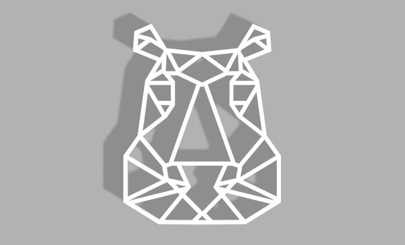 Hippo geometric