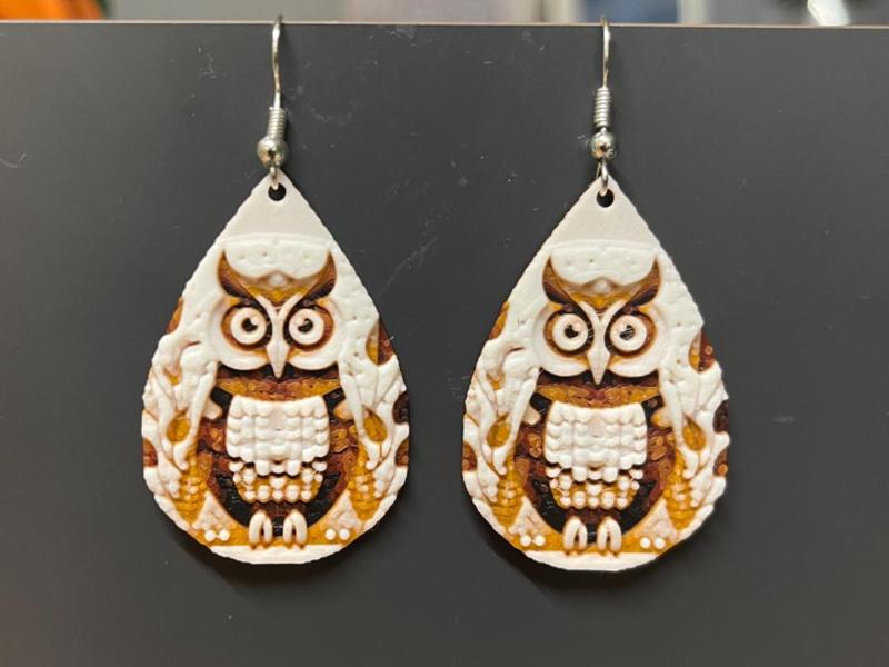 Owl Earrings