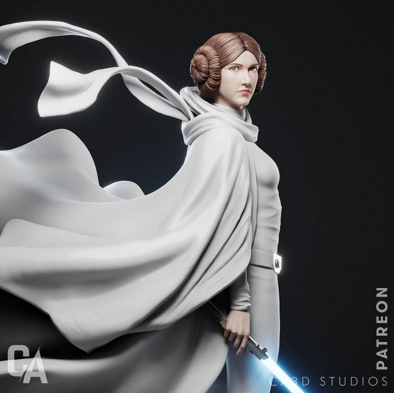 Princess Leia - 3D Print