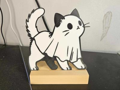 Adorable Ghost Kitten 4