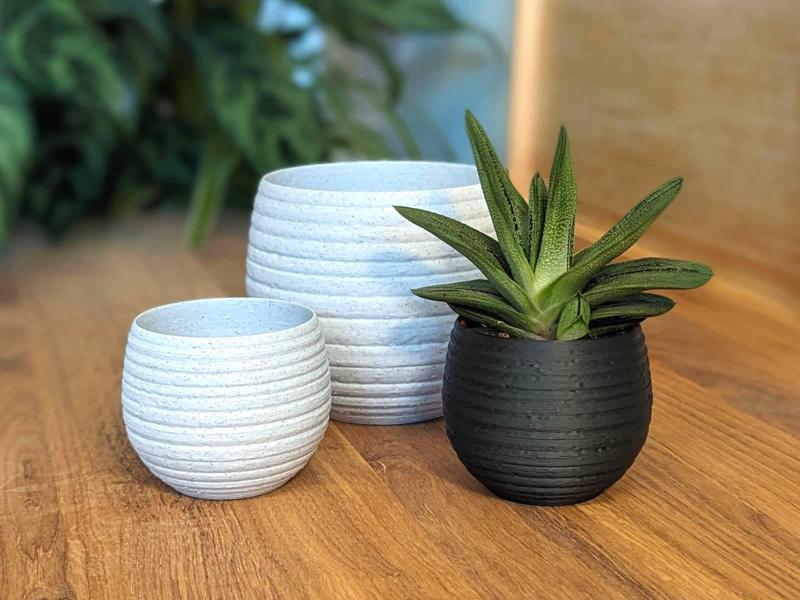 Carved Honeypot Planter