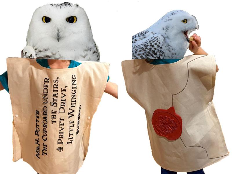 Hogwarts Letter Costume Pieces
