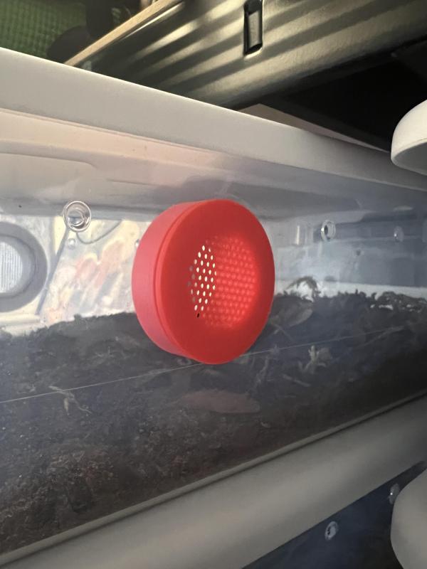 Isopod vent/ terrarium vent