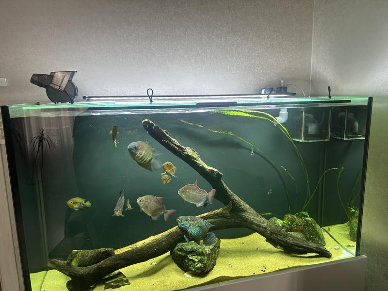 Holder for Chihiros A II Series