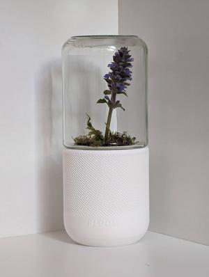 BLOOM - Mini Green House