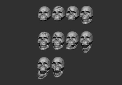 Pack of 10 Human Skulls