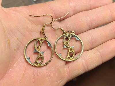 Twopass Fish Earrings