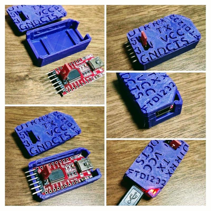FTDI232 Case