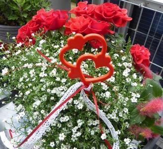 2 and 3 hearts flower pot plug