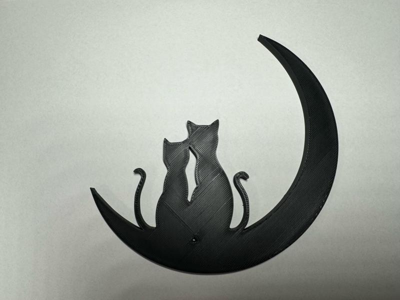 Moon cat