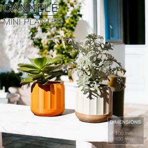 CANNELÉ | Fast-print mini Planter