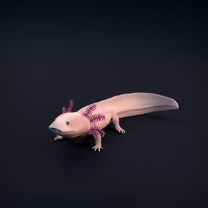 Axolotl