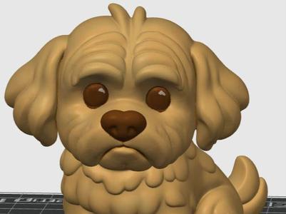 Maltese dog 