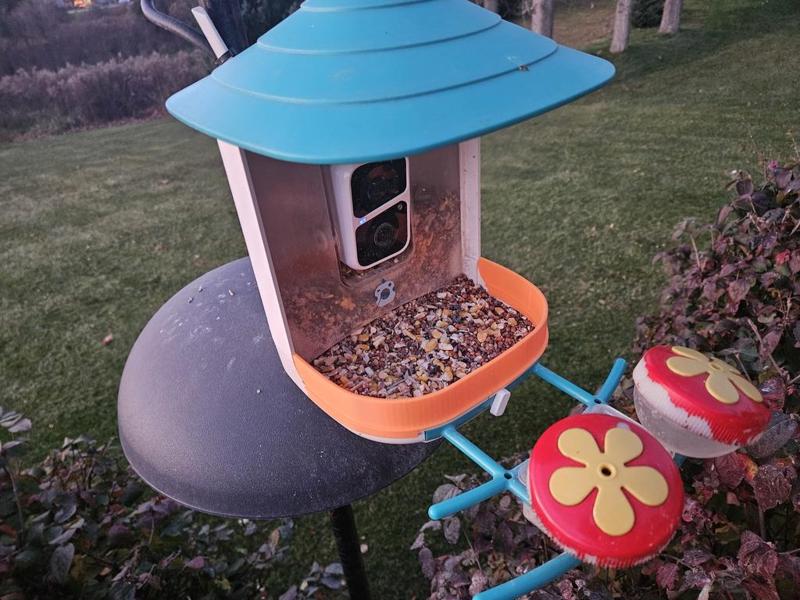 BirdSnap Bird Feeder Seed Splash Guard