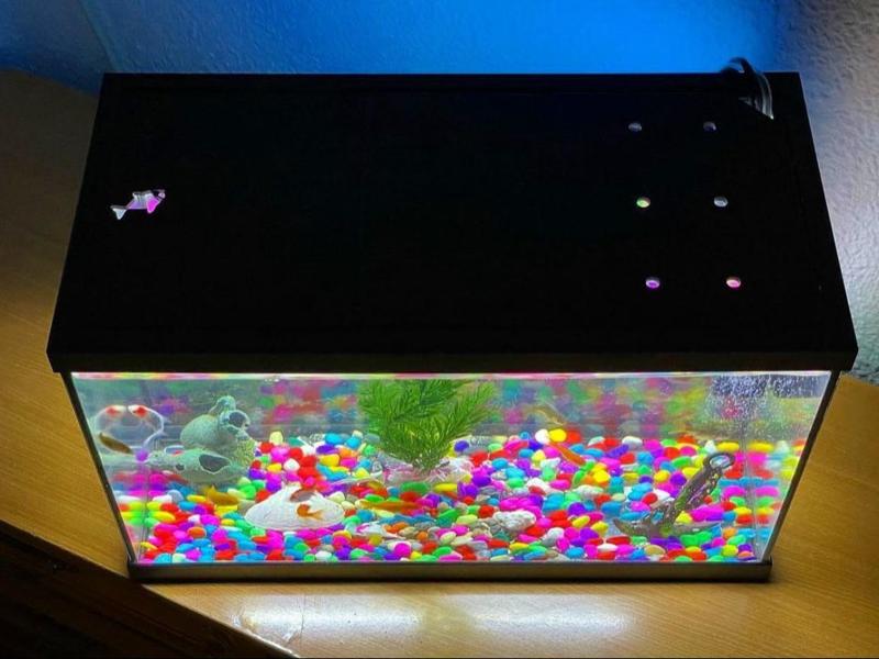 Aquarium lid
