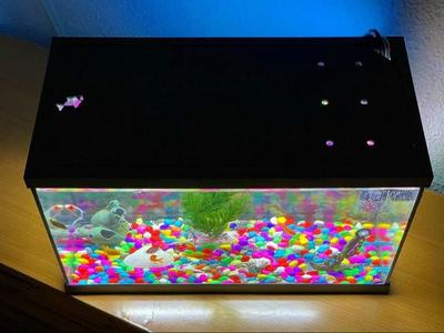 Aquarium lid
