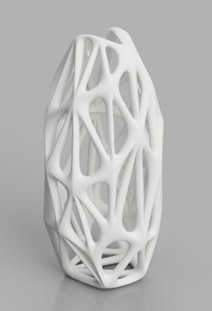 Organic vase