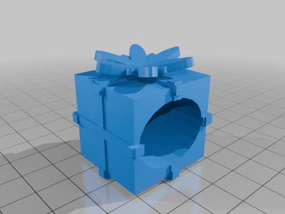 Christmas-present-hide