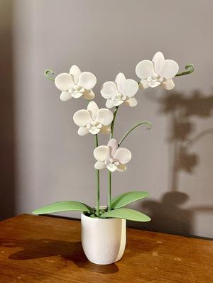 Orchid - Secret Compartment Pot