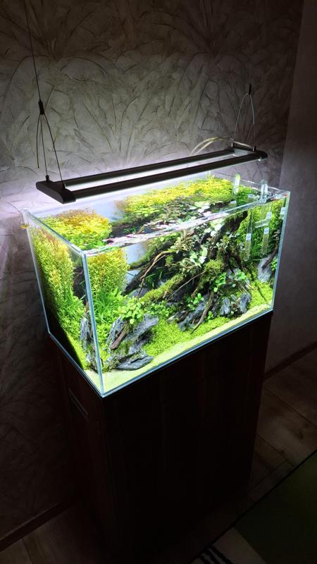 Sinkor light - hang on system.