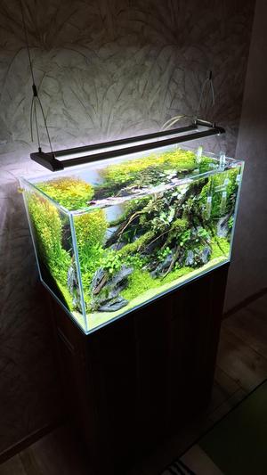 Sinkor light - hang on system.