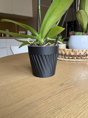 Basic Cache Pot