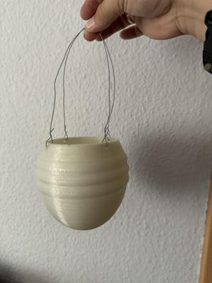 Hanging flower pot