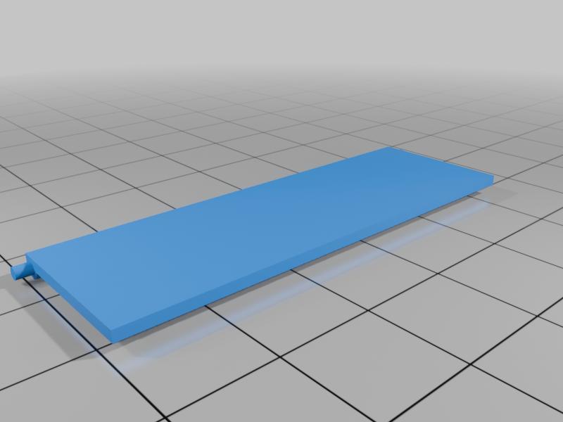 Sony Walkman Sports WM-FS393 battery door