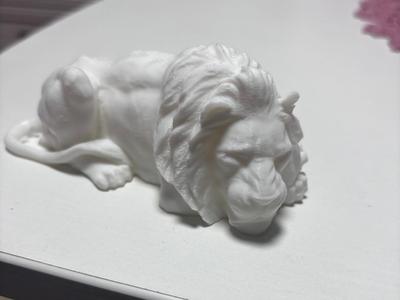 Sleeping Lion