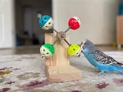 Parakeet toys