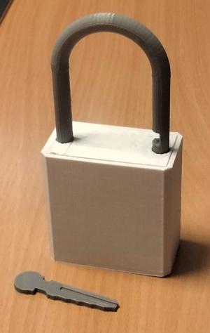 Fully 3D printed pin tumbler padlock