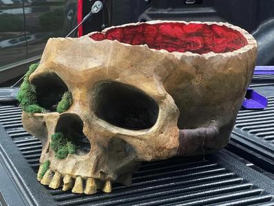 Skull candy bowl XXXXL