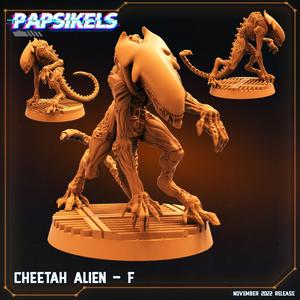 CHEETAH ALIEN - F