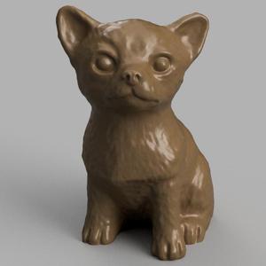 Chihuahua dog