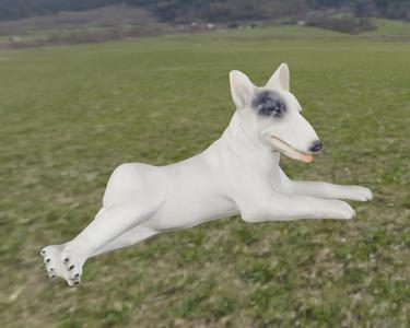 Bull Terrier