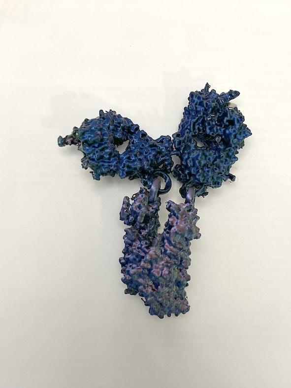 Flexible Antibody (immunoglobulin G form)