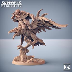 Aaron on Shadowclaws the Dire Raven (Hero and Mount)