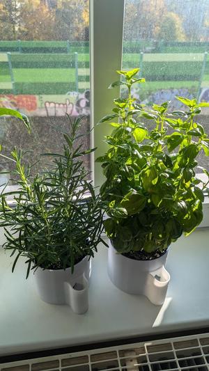 Planter for herb pots