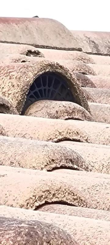 Grille chatière tuile   