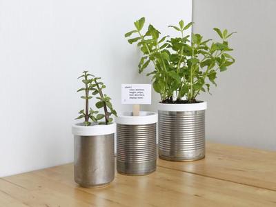 Campbell Planter - Fully 3D Printed Self-Watering Planter