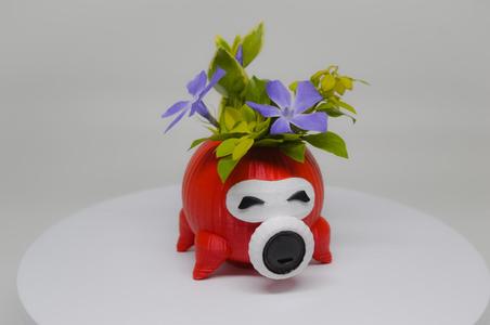 octorok planter
