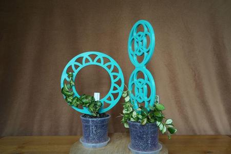 climbing aid for small plants