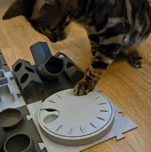 FELIX Activity Center - The Treat Wheel
