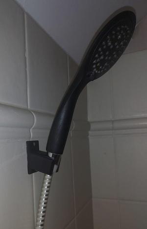Shower holder
