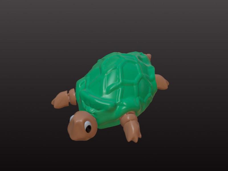 cute turtle